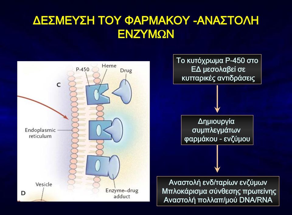 Δημιουργία συμπλεγμάτων φαρμάκου - ενζύμου Αναστολή