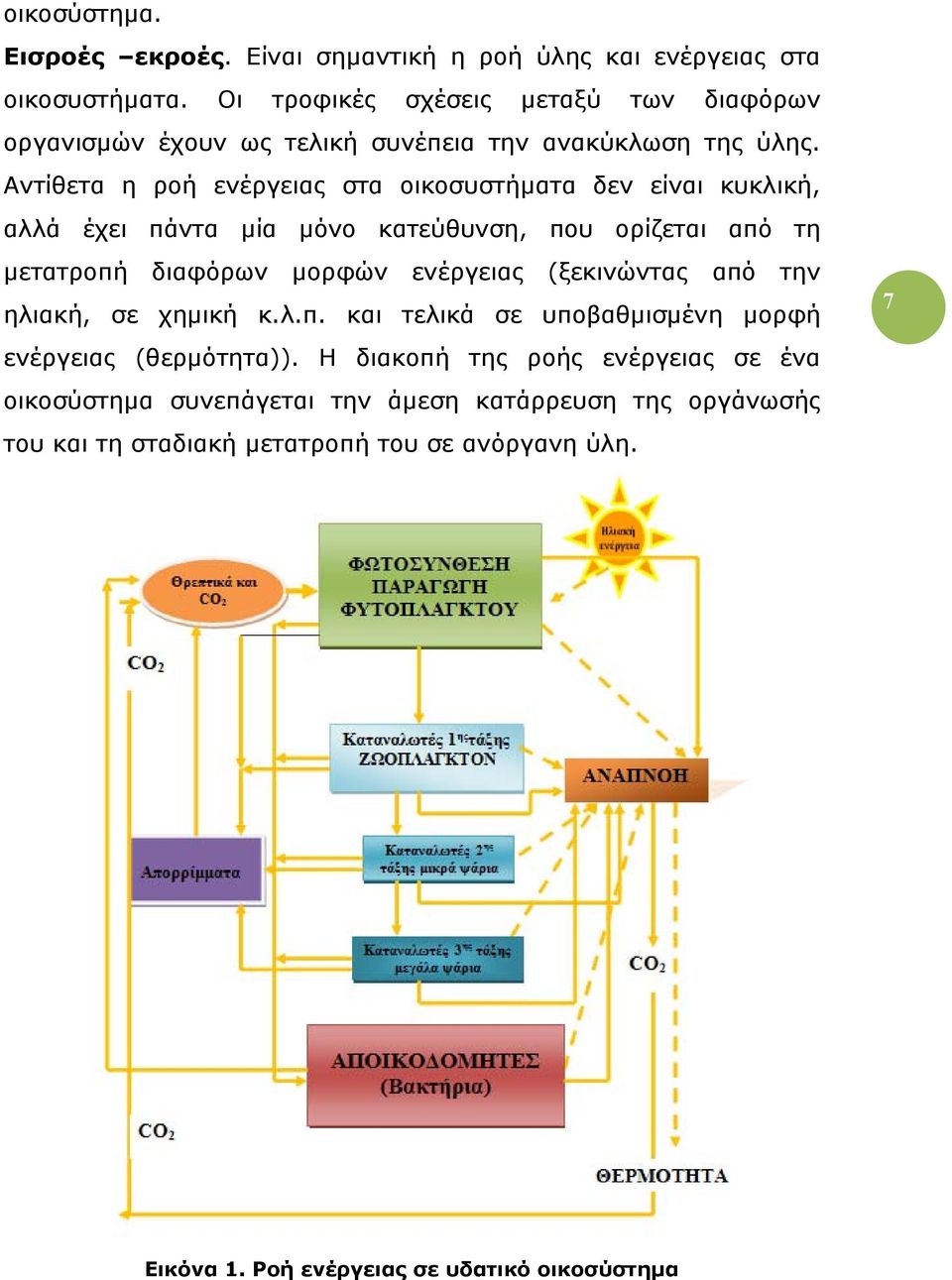 Αντίθετα η ροή ενέργειας στα οικοσυστήµατα δεν είναι κυκλική, αλλά έχει πάντα µία µόνο κατεύθυνση, που ορίζεται από τη µετατροπή διαφόρων µορφών ενέργειας