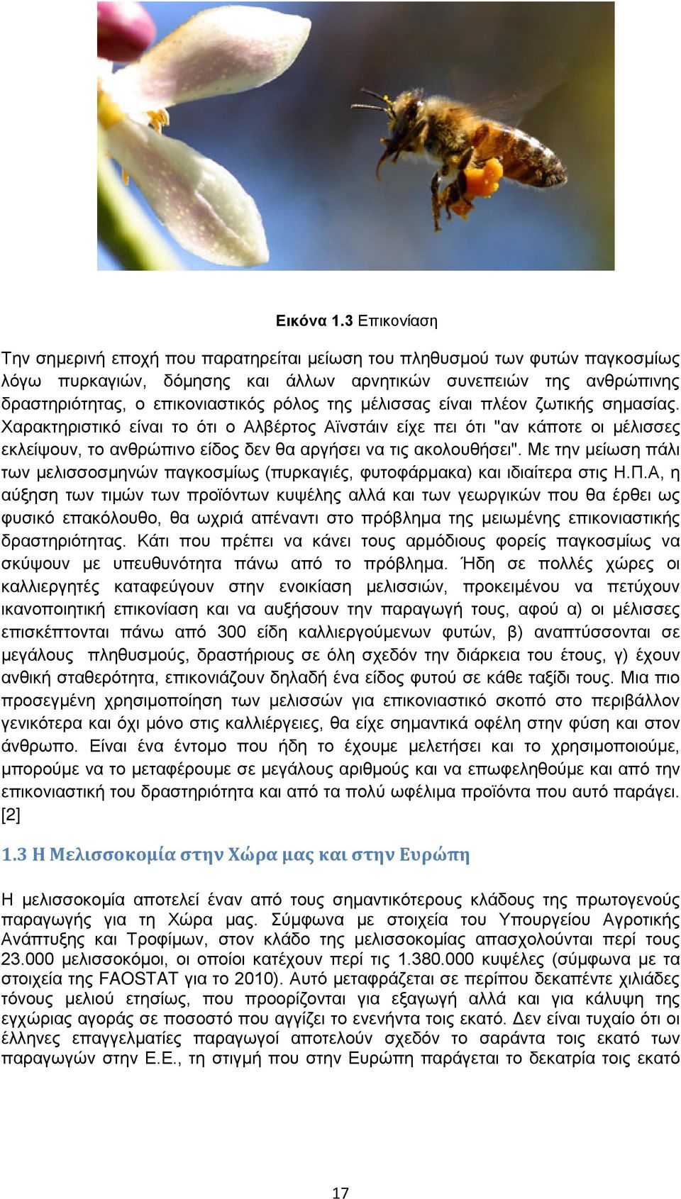 της μέλισσας είναι πλέον ζωτικής σημασίας. Χαρακτηριστικό είναι το ότι ο Αλβέρτος Αϊνστάιν είχε πει ότι "αν κάποτε οι μέλισσες εκλείψουν, το ανθρώπινο είδος δεν θα αργήσει να τις ακολουθήσει".