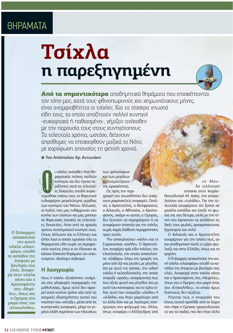 Τα τελευταία χρόνια, ωστόσο, δείχνουν απρόθυµες να επισκεφθούν µαζικά το Νότο, µε κορύφωση απουσίας τη φετινή χρονιά. Του Απόστολου Χρ.