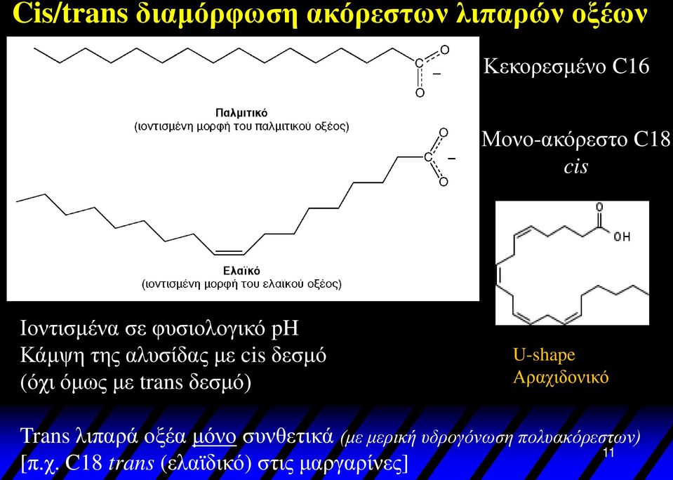 όμως με trans δεσμό) U-shape Αραχιδονικό Trans λιπαρά οξέα μόνο συνθετικά