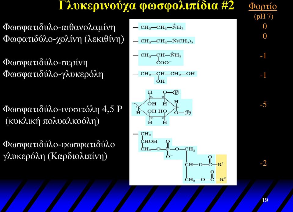 Φωσφατιδύλο-γλυκερόλη Φορτίο (ph 7) 0 0-1 -1