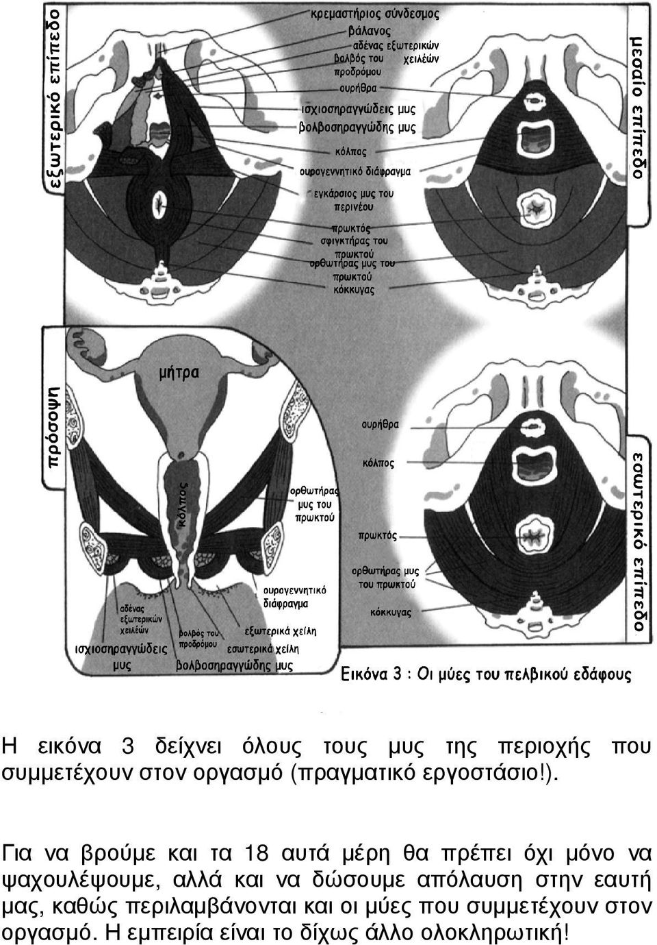 Μουνί γυναικείος οργασμός εικόνες
