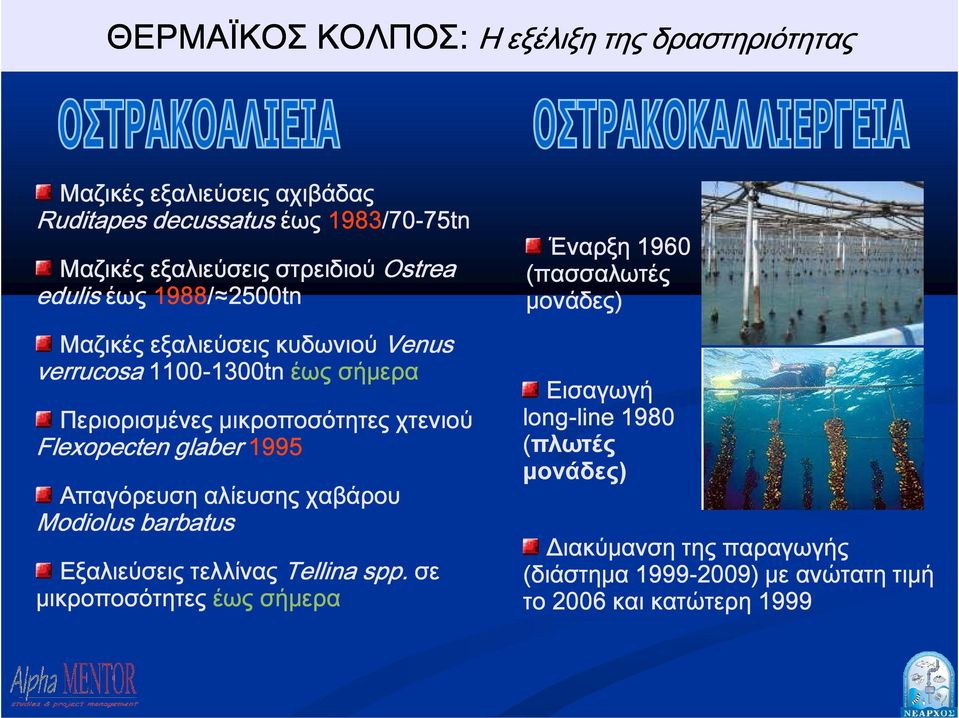 χτενιού Flexopecten glaber 1995 Απαγόρευση αλίευσης χαβάρου Modiolus barbatus Εξαλιεύσεις τελλίνας Tellina spp.