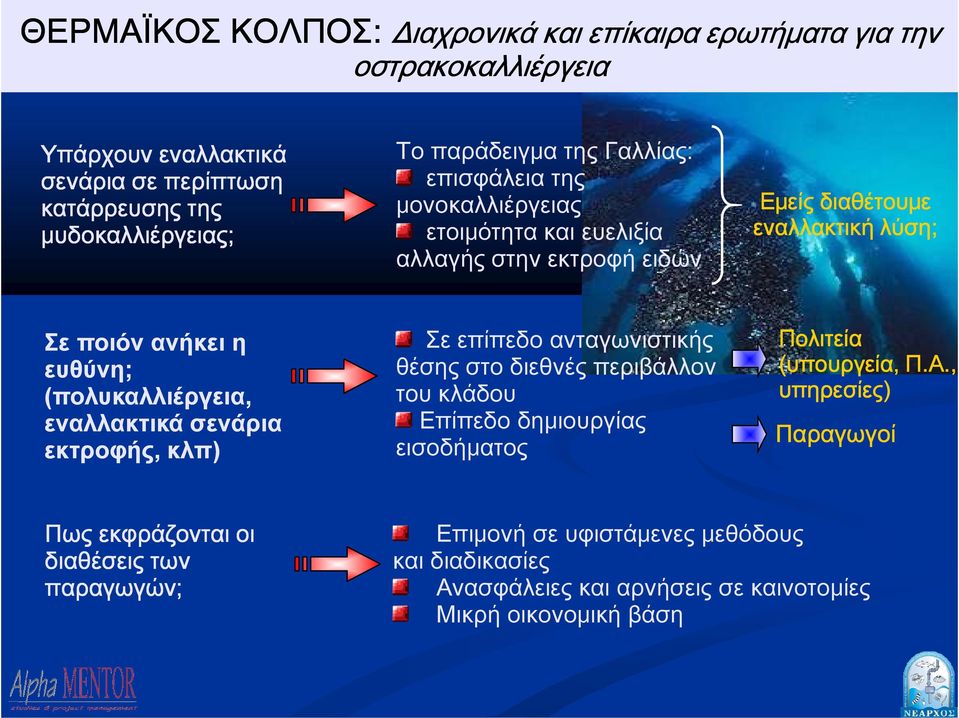 (πολυκαλλιέργεια, εναλλακτικά σενάρια εκτροφής, κλπ) Σε επίπεδο ανταγωνιστικής θέσης στο διεθνές περιβάλλον του κλάδου Επίπεδο δημιουργίας εισοδήματος Πολιτεία