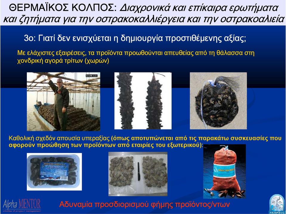 τη θάλασσα στη χονδρική αγορά τρίτων (χωρών) ΠΡΙΝΤΖΟΣ Καθολική σχεδόν απουσία υπεραξίας (όπως αποτυπώνεται από τις