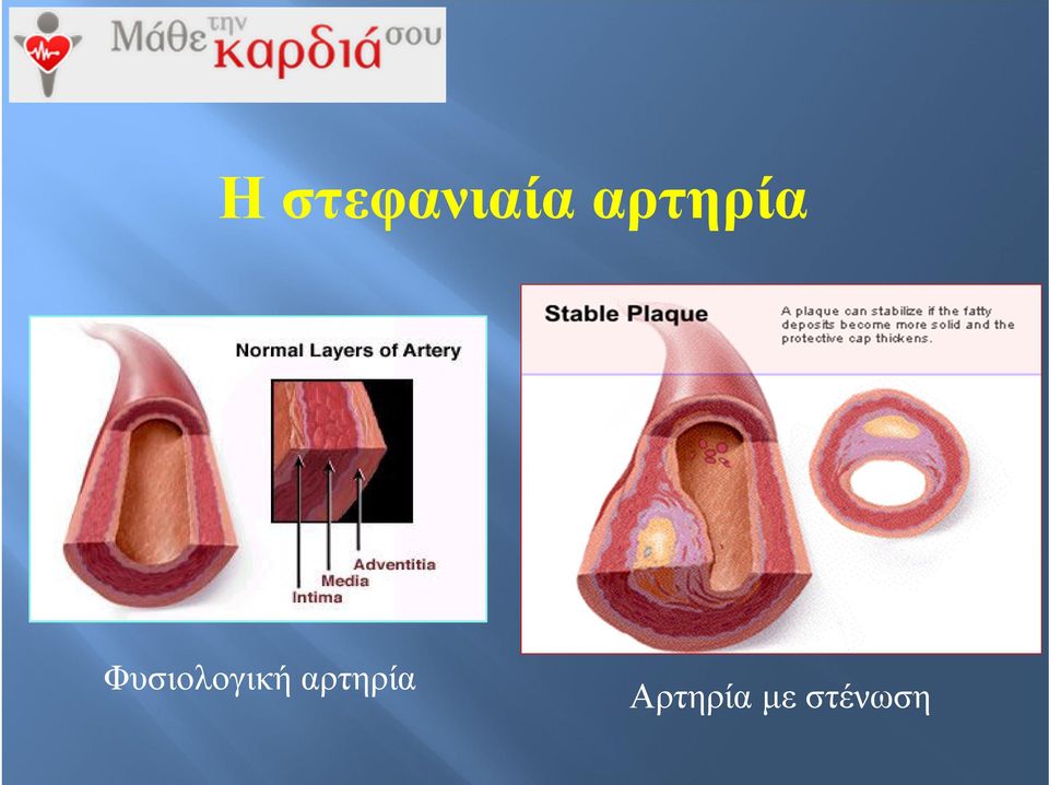 Φυσιολογική 