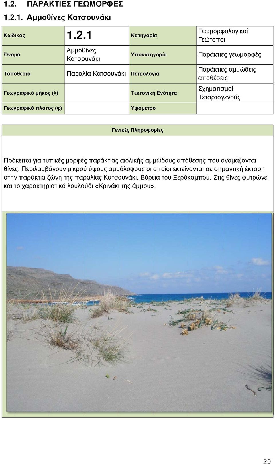 αιολικής αμμώδους απόθεσης που ονομάζονται θίνες.