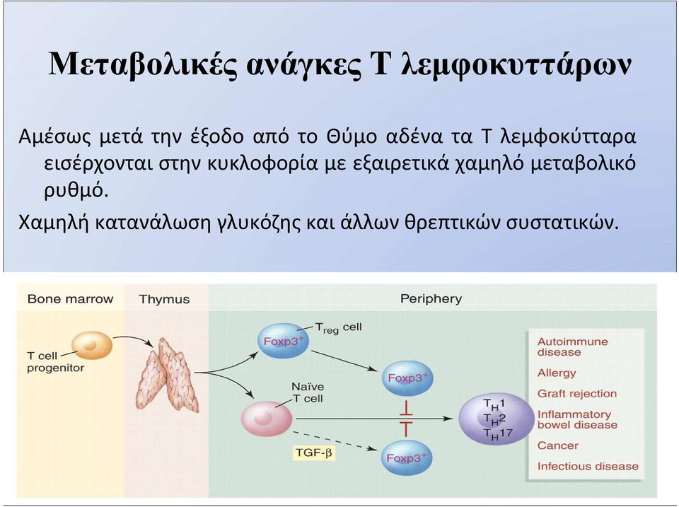 εξαιρετικά χαμηλό μεταβολικό ρυθμό.