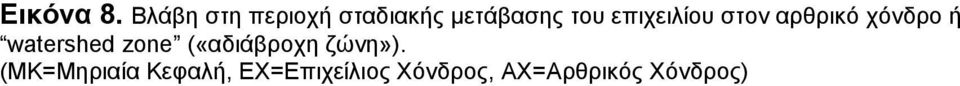 επιχειλίου στον αρθρικό χόνδρο ή watershed