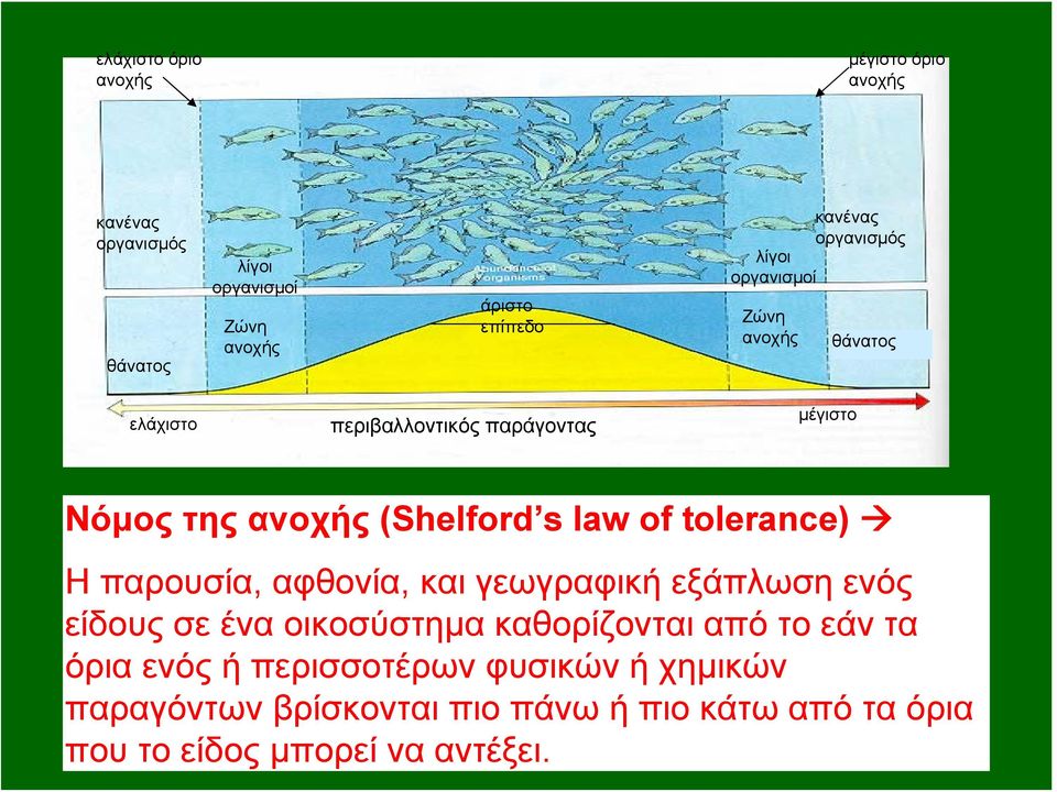 law of tolerance) Ηπαρουσία, αφθονία, και γεωγραφική εξάπλωση ενός είδους σε ένα οικοσύστημα καθορίζονται από το εάν τα