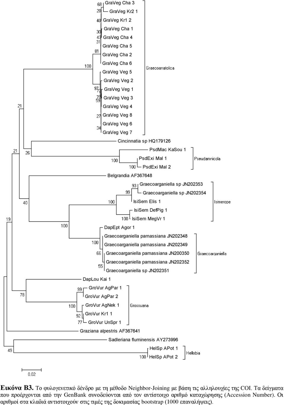 1 DapEpt Agor 1 Graecoarganiella parnassiana JN202348 Graecoarganiella parnassiana JN202349 Graecoarganiella parnassiana JN200350 Graecoarganiella parnassiana JN202352 Graecoarganiella sp JN202351