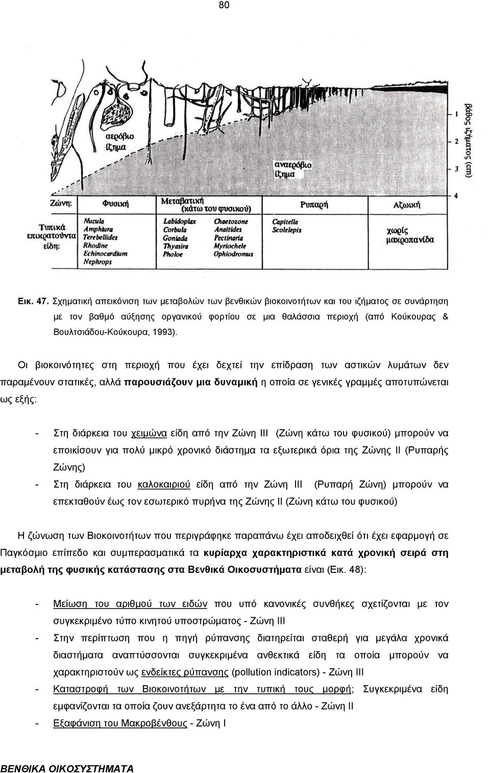 Οι βιοκοινότητες στη περιοχή που έχει δεχτεί την επίδραση των αστικών λυµάτων δεν παραµένουν στατικές, αλλά παρουσιάζουν µια δυναµική η οποία σε γενικές γραµµές αποτυπώνεται ως εξής: - Στη διάρκεια