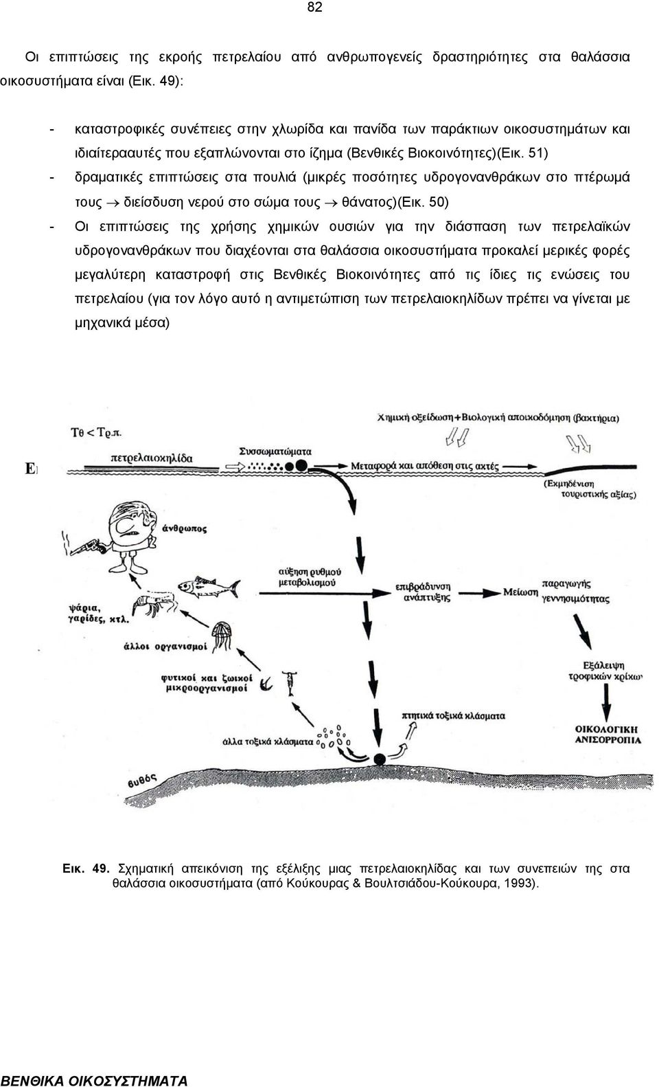 51) - δραµατικές επιπτώσεις στα πουλιά (µικρές ποσότητες υδρογονανθράκων στο πτέρωµά τους διείσδυση νερού στο σώµα τους θάνατος)(εικ.