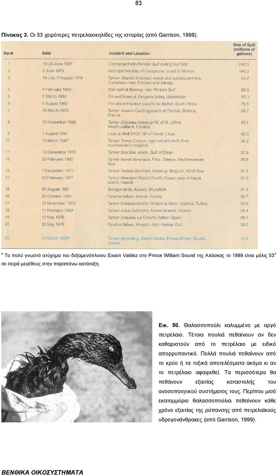 Θαλασσοπούλι καλυµµένο µε αργό πετρέλαιο. Τέτοια πουλιά πεθαίνουν αν δεν καθαριστούν από το πετρέλαιο µε ειδικό απορρυπαντικό.