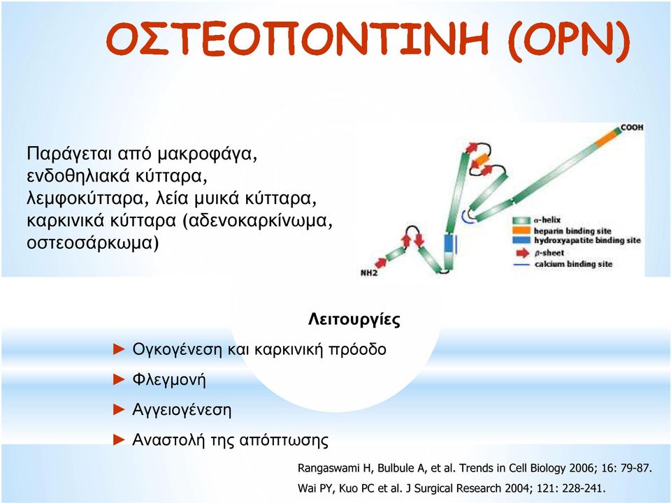 πρόοδο Φλεγµονή Αγγειογένεση Αναστολή της απόπτωσης Rangaswami H, Bulbule A, et al.