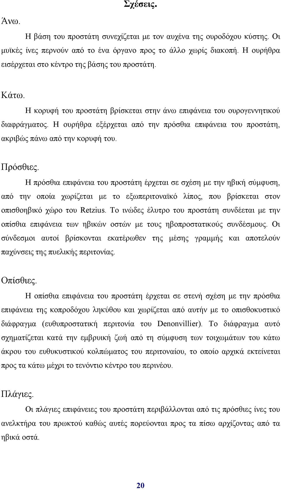 Η ουρήθρα εξέρχεται από την πρόσθια επιφάνεια του προστάτη, ακριβώς πάνω από την κορυφή του. Πρόσθιες.