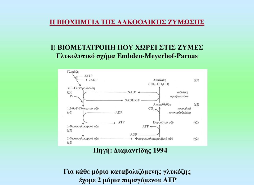 Embden-Meyerhof-Parnas Πηγή: Διαμαντίδης 1994 Για