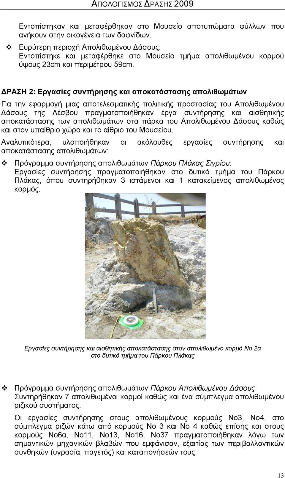 ΔΡΑΣΗ 2: Εργασίες συντήρησης και αποκατάστασης απολιθωμάτων Για την εφαρμογή μιας αποτελεσματικής πολιτικής προστασίας του Απολιθωμένου Δάσους της Λέσβου πραγματοποιήθηκαν έργα συντήρησης και