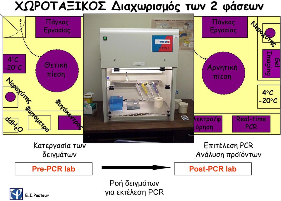 Imaging 4 C -20 C Ηλεκτρο/φ όρηση Real-time PCR Κατεργασία των δειγμάτων