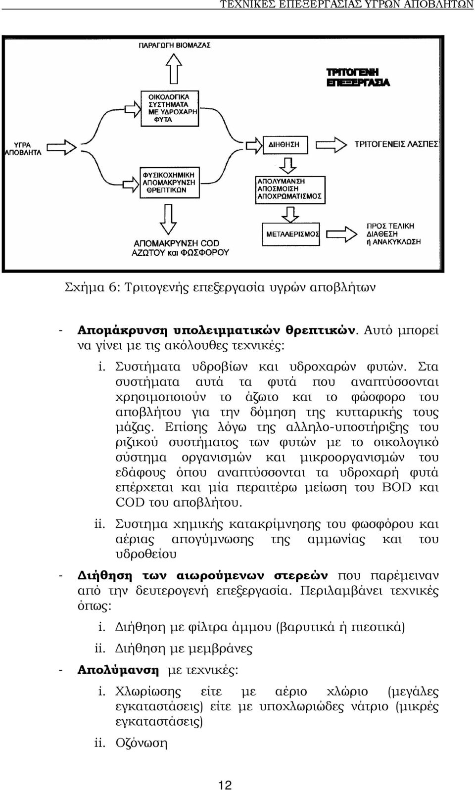 Επίσης λόγω της αλληλο-υποστήριξης του ριζικού συστήµατος των φυτών µε το οικολογικό σύστηµα οργανισµών και µικροοργανισµών του εδάφους όπου αναπτύσσονται τα υδροχαρή φυτά επέρχεται και µία περαιτέρω