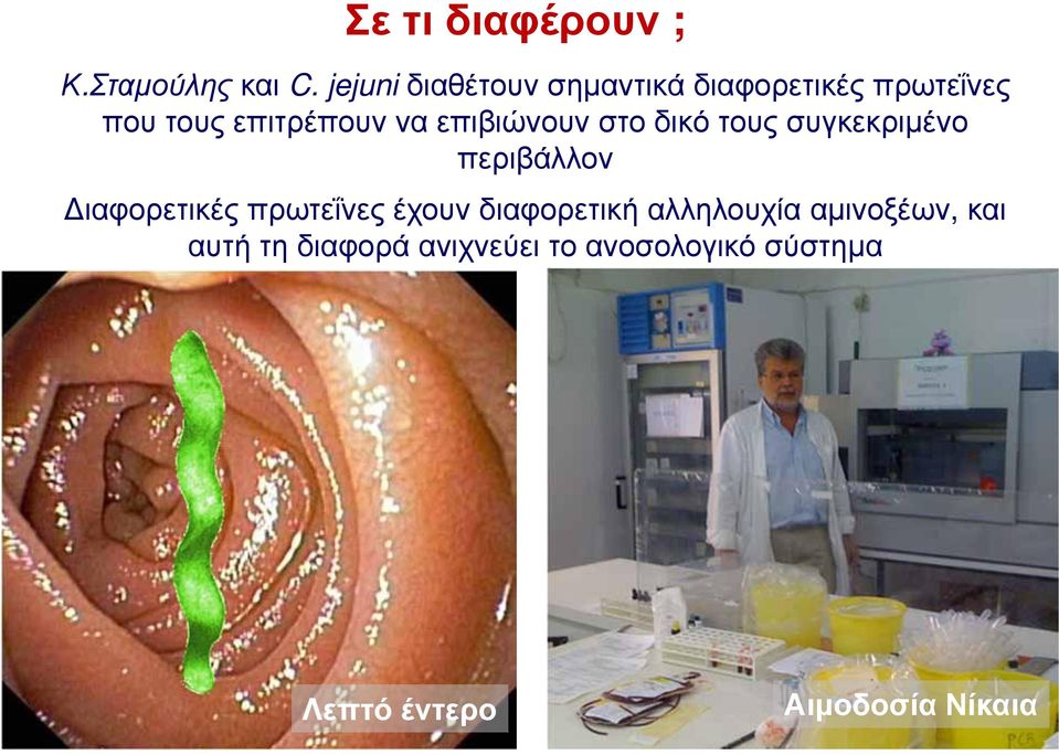 επιβιώνουν στο δικό τους συγκεκριμένο περιβάλλον ιαφορετικές πρωτεΐνες