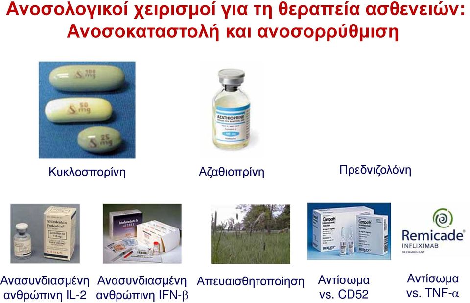 Πρεδνιζολόνη Ανασυνδιασμένη ανθρώπινη IL-2 Ανασυνδιασμένη
