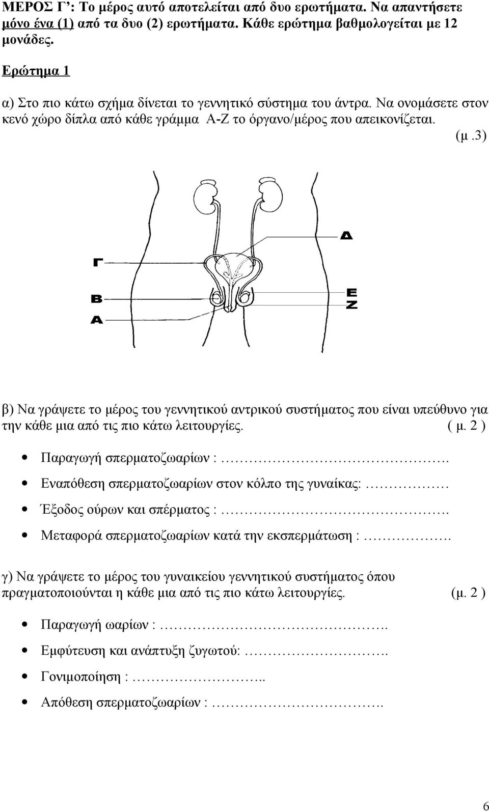 3) β) Να γράψετε το μέρος του γεννητικού αντρικού συστήματος που είναι υπεύθυνο για την κάθε μια από τις πιο κάτω λειτουργίες. ( μ. 2 ) Παραγωγή σπερματοζωαρίων :.