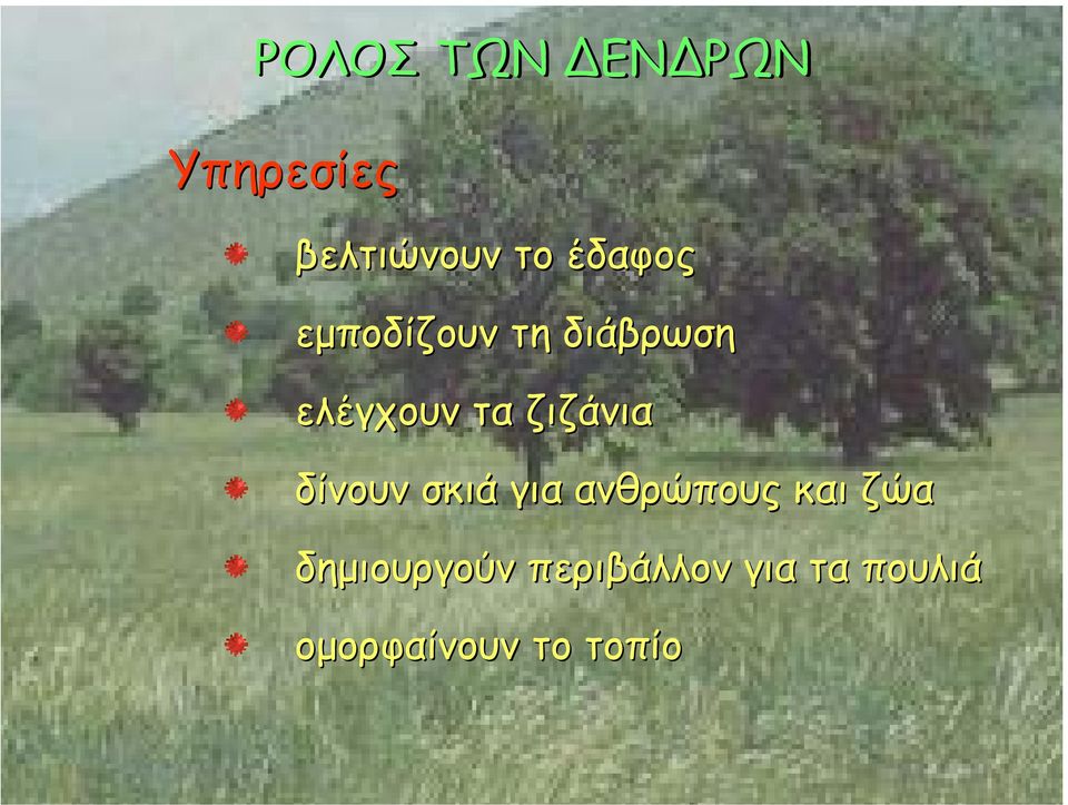 ζιζάνια δίνουν σκιά για ανθρώπους και ζώα