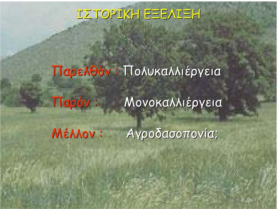 Πολυκαλλιέργεια Παρόν