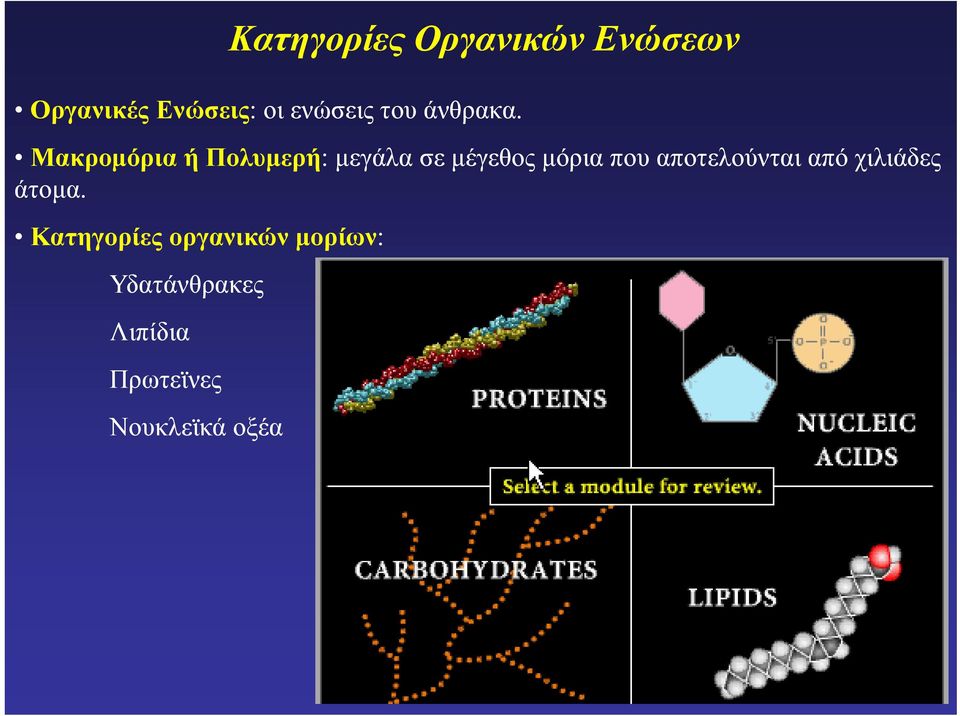 Μακρομόρια ή Πολυμερή: μεγάλα σε μέγεθος μόρια που