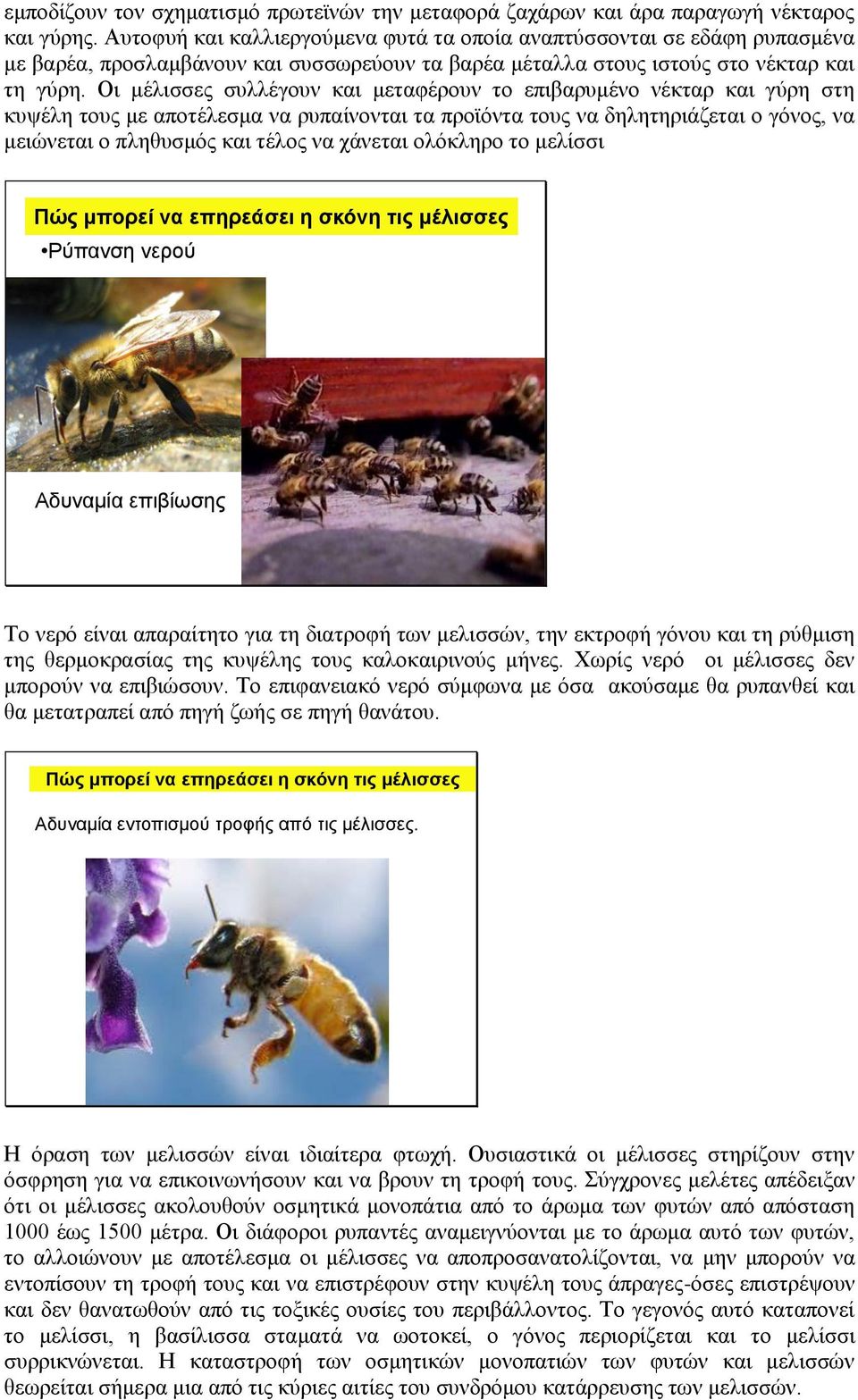Οι μέλισσες συλλέγουν και μεταφέρουν το επιβαρυμένο νέκταρ και γύρη στη κυψέλη τους με αποτέλεσμα να ρυπαίνονται τα προϊόντα τους να δηλητηριάζεται ο γόνος, να μειώνεται ο πληθυσμός και τέλος να