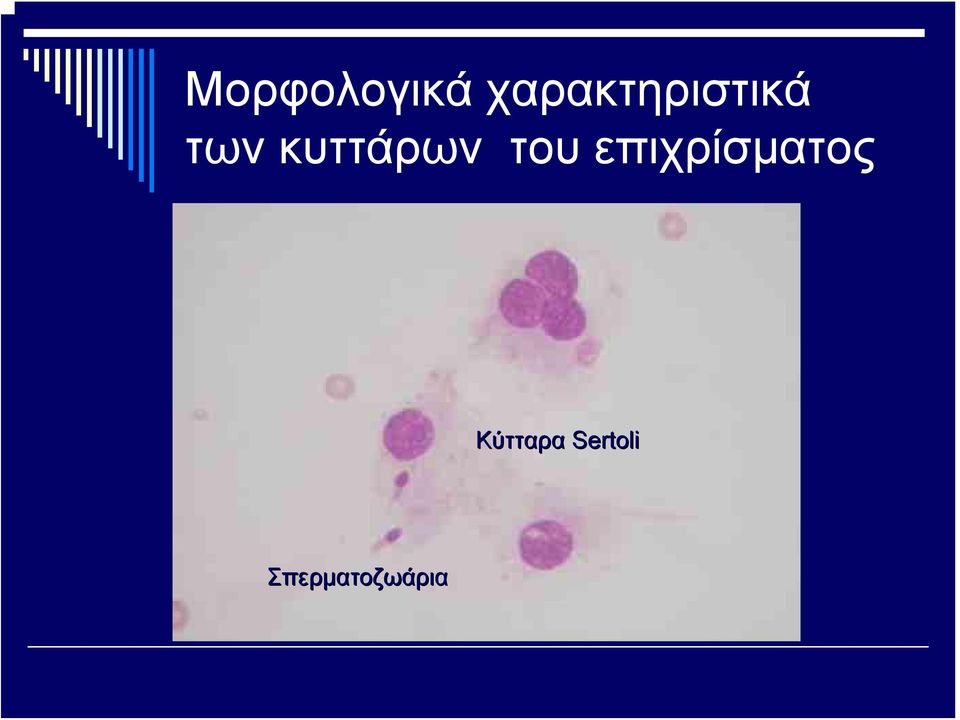 κυττάρων του