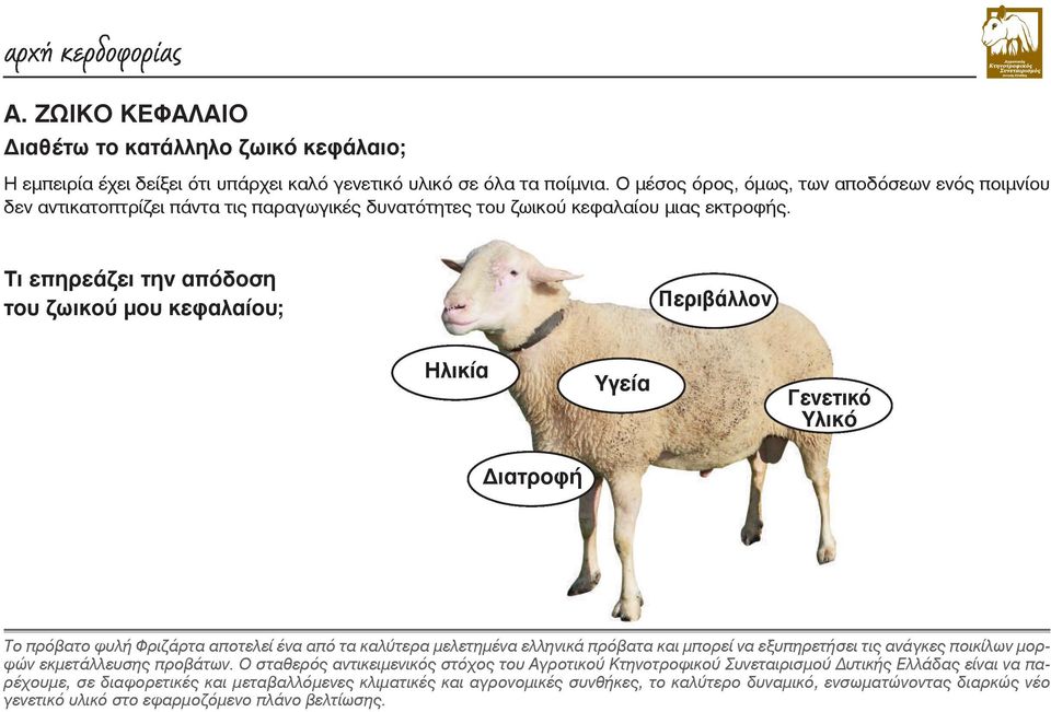 Τι επηρεάζει την απόδοση του ζωικού μου κεφαλαίου; Περιβάλλον Ηλικία Υγεία Γενετικό Υλικό Διατροφή Το πρόβατο φυλή Φριζάρτα αποτελεί ένα από τα καλύτερα μελετημένα ελληνικά πρόβατα και μπορεί να