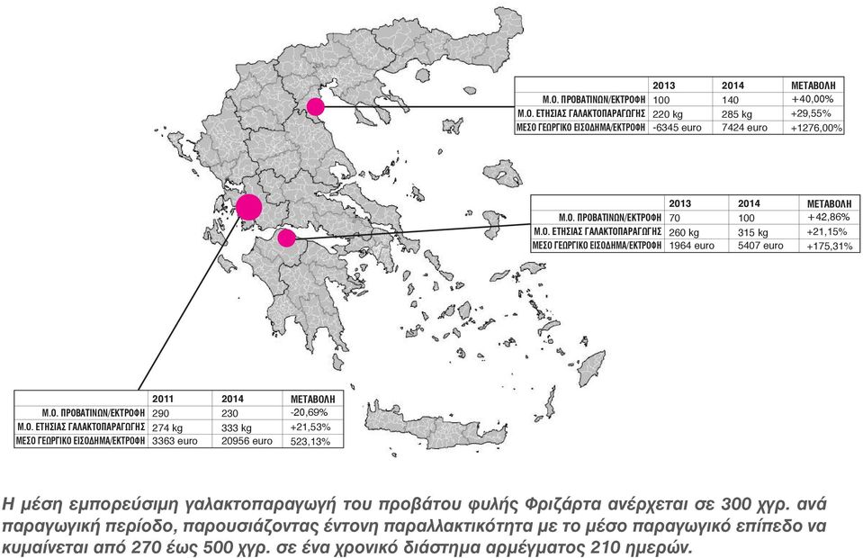 γαλακτοπαραγωγή του προβάτου φυλής Φριζάρτα ανέρχεται σε 300 χγρ. ανά παραγωγική περίοδο, παρουσιάζοντας έντονη παραλλακτικότητα με το μέσο παραγωγικό επίπεδο να κυμαίνεται από 270 έως 500 χγρ.