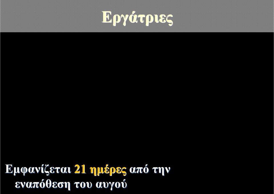 ημέρες από την