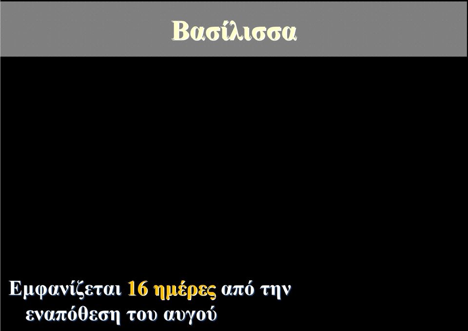 ημέρες από την