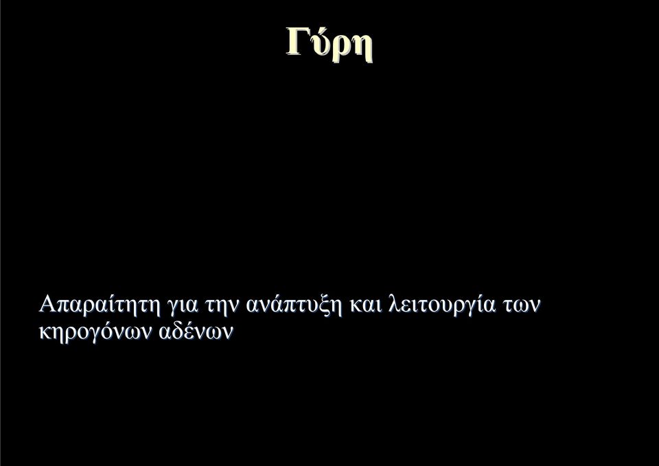 και λειτουργία