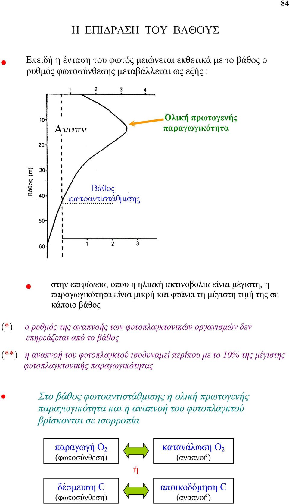 οργανισμών δεν επηρεάζεται από το βάθος (**) η αναπνοή του φυτοπλαγκτού ισοδυναμεί περίπου με το 10% της μέγιστης φυτοπλαγκτονικής παραγωγικότητας Στο βάθος φωτοαντιστάθμισης η