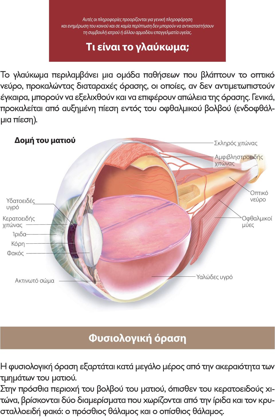 επιφέρουν απώλεια της όρασης. Γενικά, προκαλείται από αυξημένη πίεση εντός του οφθαλμικού βολβού (ενδοφθάλμια πίεση).