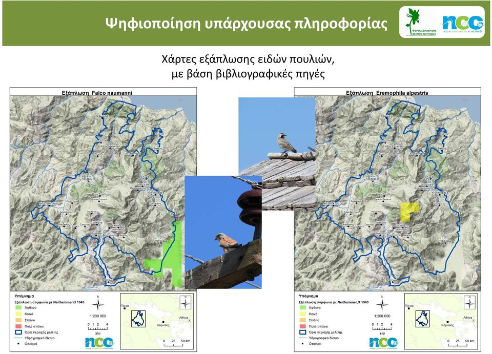 εξάπλωσης ειδών