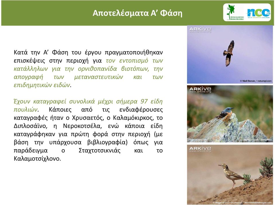 Έχουν καταγραφεί συνολικά μέχρι σήμερα 97 είδη Έχουν καταγραφεί συνολικά μέχρι σήμερα 97 είδη πουλιών.