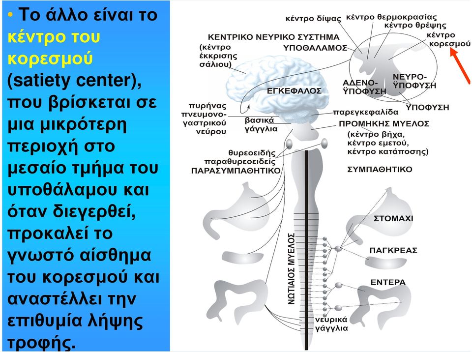 του υποθάλαµου και όταν διεγερθεί, προκαλεί το γνωστό