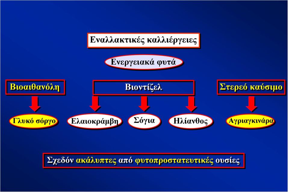 σόργο Ελαιοκράμβη Σόγια Ηλίανθος