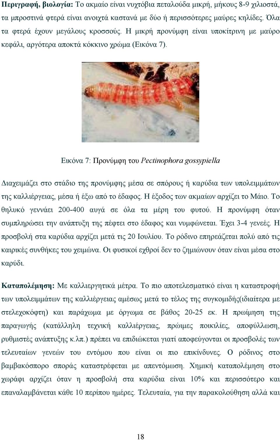 Εικόνα 7: Προνύμφη του Pectinophora gossypiella Διαχειμάζει στο στάδιο της προνύμφης μέσα σε σπόρους ή καρύδια των υπολειμμάτων της καλλιέργειας, μέσα ή έξω από το έδαφος.