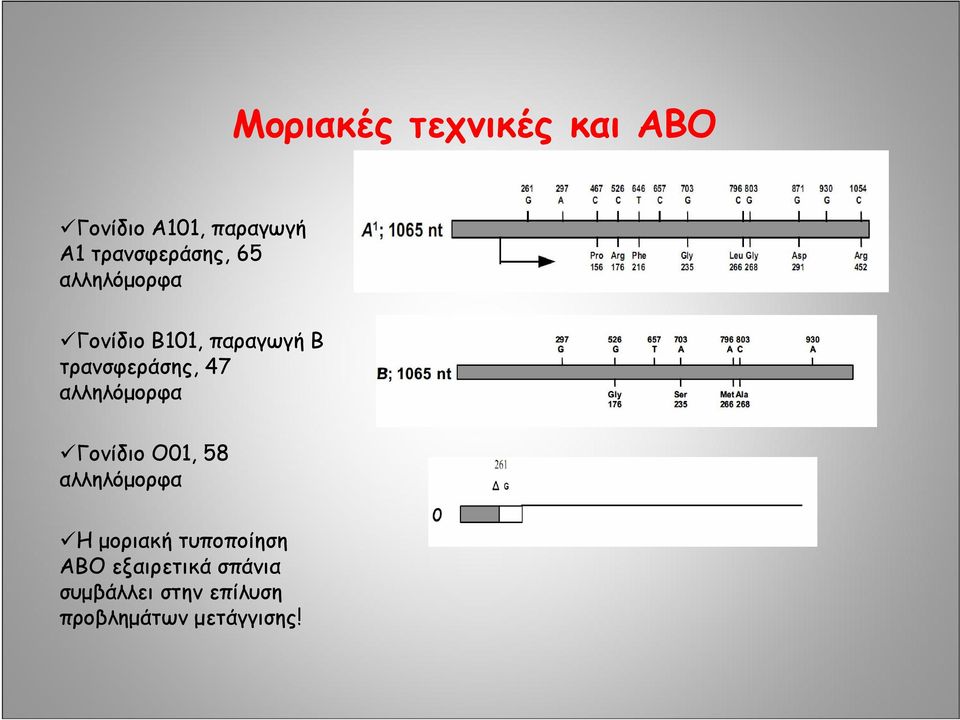 τρανσφεράσης, 47 αλληλόμορφα Γονίδιο Ο01, 58 αλληλόμορφα Η