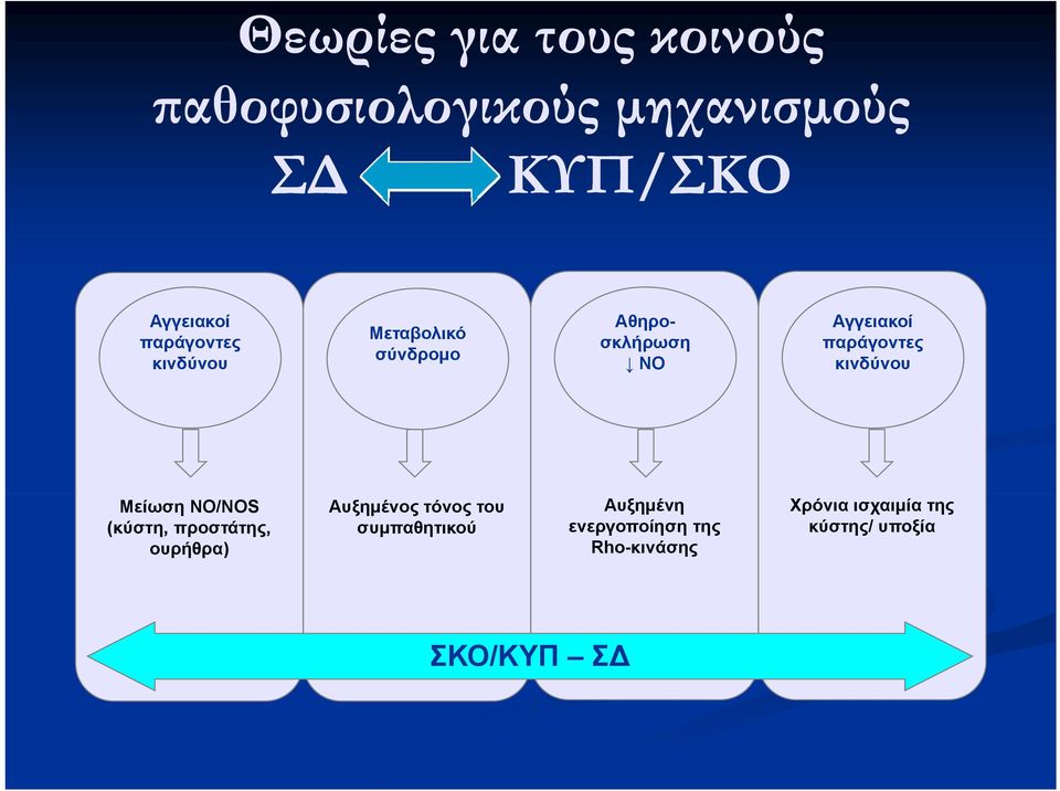 παράγοντες κινδύνου Μείωση NO/NOS (κύστη, προστάτης, ουρήθρα) Αυξημένος τόνος του