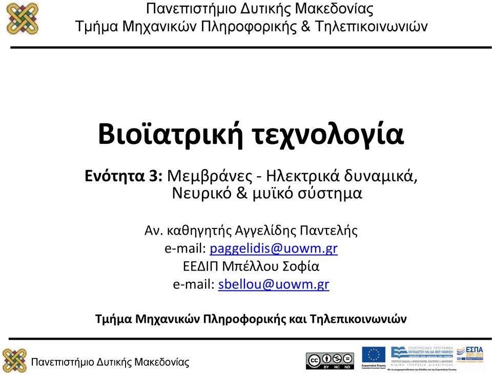 καθηγητής Αγγελίδης Παντελής e-mail: paggelidis@uowm.