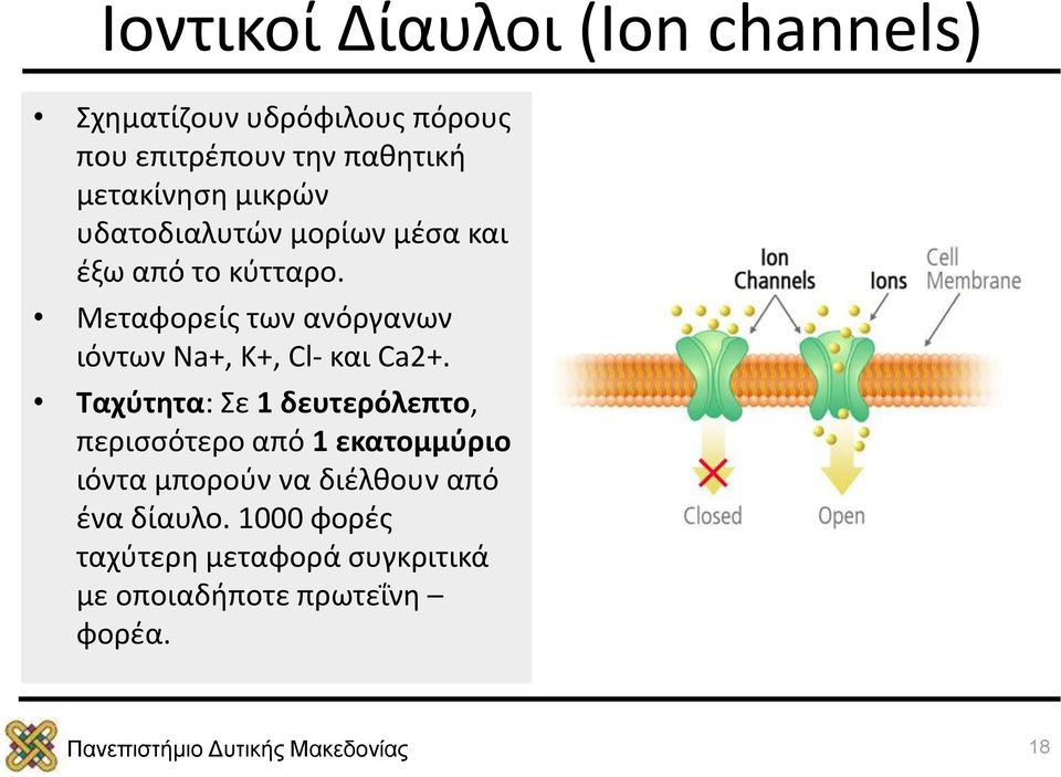 Μεταφορείς των ανόργανων ιόντων Na+, K+, Cl- και Ca2+.