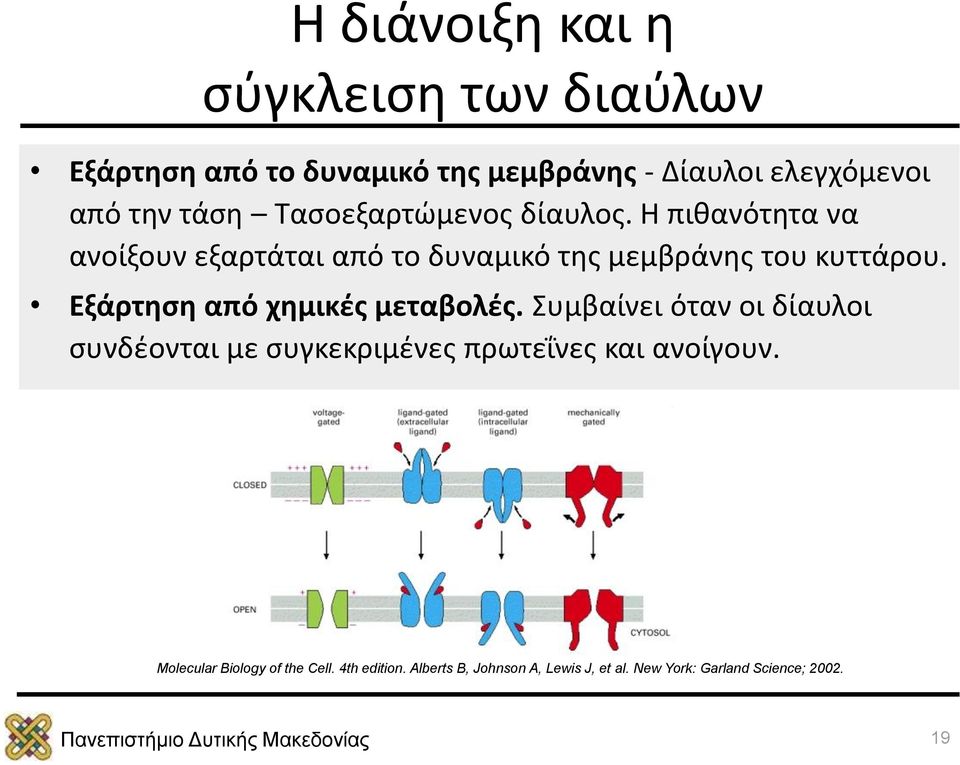 Εξάρτηση από χημικές μεταβολές. Συμβαίνει όταν οι δίαυλοι συνδέονται με συγκεκριμένες πρωτεΐνες και ανοίγουν.